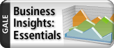 Business Insights: Essentials