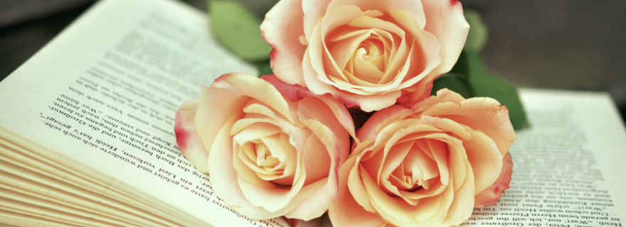 Pink roses on book